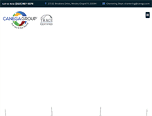Tablet Screenshot of canega.com
